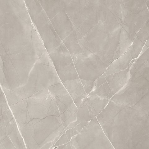  India-100100-INST1001000003 