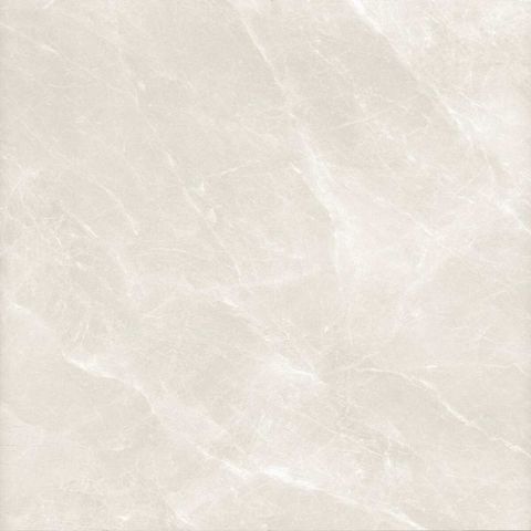  India-100100-INST1001000004 