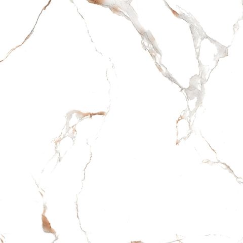  HSG-120120-INST1201200004 