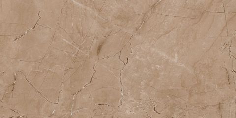  India-3060-INCF0300600001 