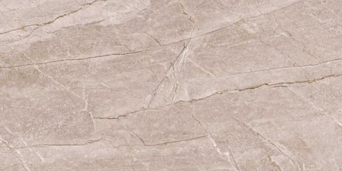  India-3060-INCF0300600002 