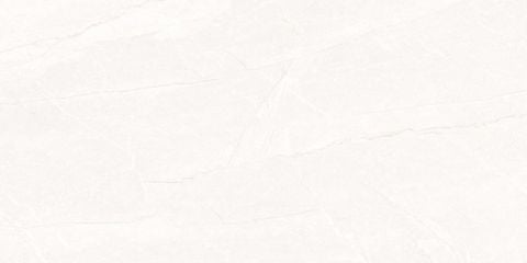  India-3060-INCF0300600002 