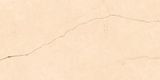  India-3060-INCF0300600003 