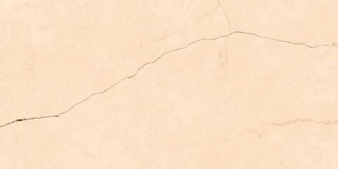  India-3060-INCF0300600003 