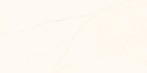  India-3060-INCF0300600003 