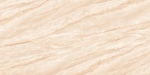  India-3060-INCF0300600004 