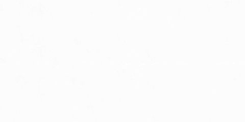  India-3060-INCF0300600011 