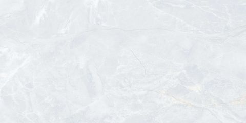  India-3060-INCF0300600012 