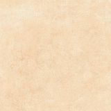  India-4040-INDL0400400001 