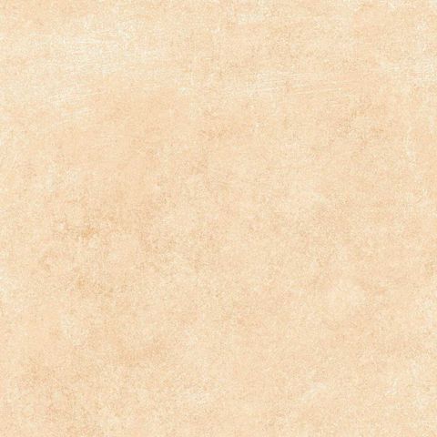  India-4040-INDL0400400001 