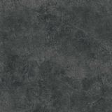  India-4040-INDL0400400006 