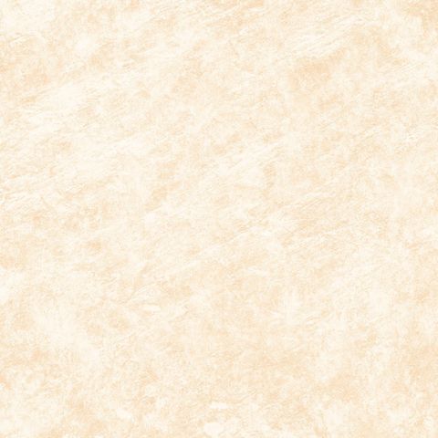  India-4040-INDL0400400023 