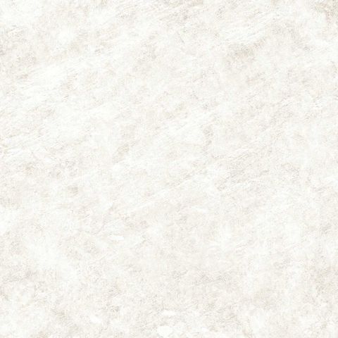  India-4040-INDL0400400024 