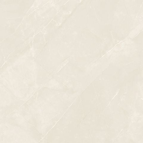  India-8080-INST0800800002 