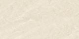  QLI-60120-009-MT 