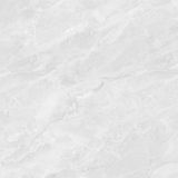  QLI-8080-005 