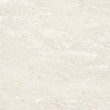  QLI-8080-010 