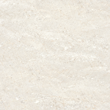  QLI-8080-010 