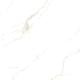  TNG-5050-CMN503 