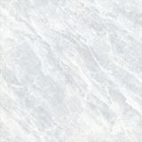  TNG-5050-CMN510 
