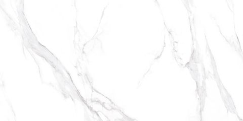  CHN-120240-HDJ249T20 