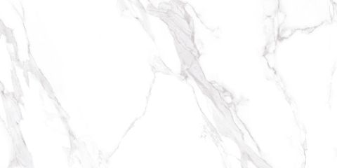  CHN-120240-HDJ249T20 