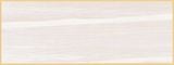  CHN-3080-CMN38001 