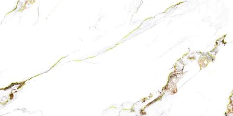  CHN-60120-CMN61259-KK 