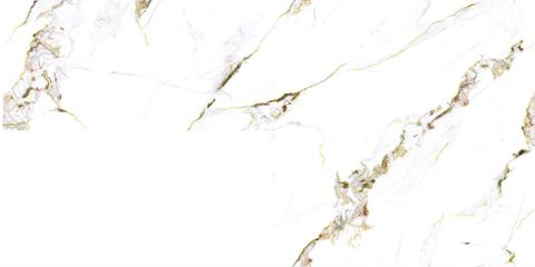  CHN-60120-CMN61259-KK 