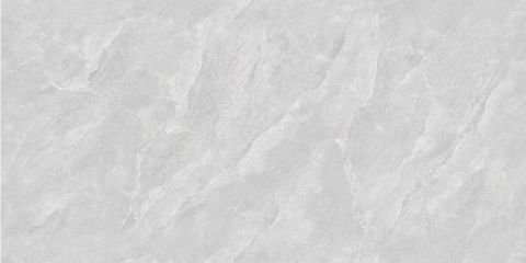  CHN-60120-LT12T03-MT 