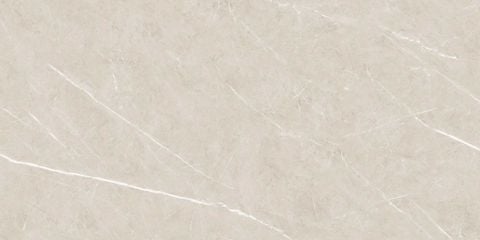  CHN-60120-LT12T12-MT 