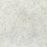  CHN-8080-CMN81237 