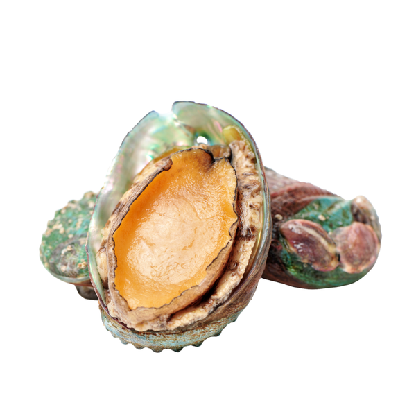  Bào Ngư Úc Ocean Gems Đông Lạnh 500g 