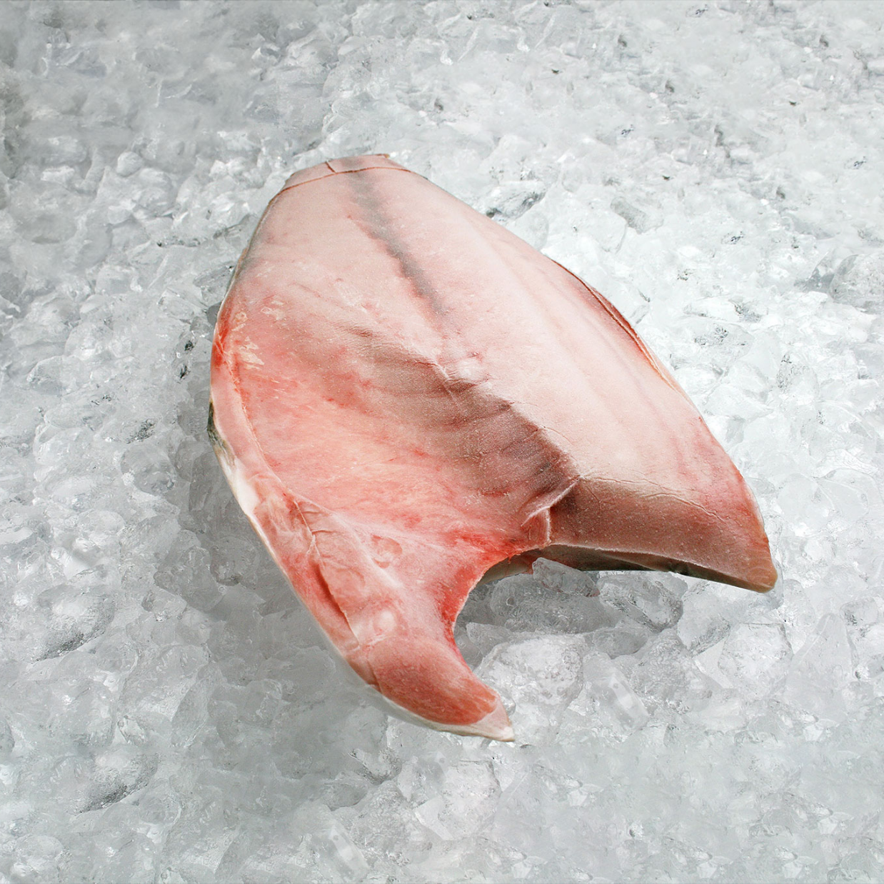  [SẢN PHẨM MỚI] Cá Cam Hamachi Phi Lê Nguyên Tảng Đông Lạnh Ocean Gems 