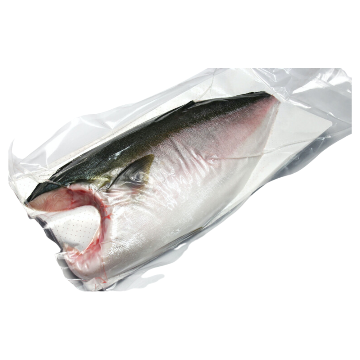  [SẢN PHẨM MỚI] Cá Cam Hamachi Phi Lê Nguyên Tảng Đông Lạnh Ocean Gems 