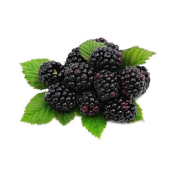  Mâm Xôi Đen Aro Đông Lạnh 1kg 