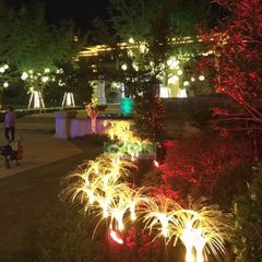 Combo 2 Đèn Led Năng Lượng Mặt Trời Cảm Biến Ánh Sáng Sợi Quang Bông Lau Cắm Cỏ Không Thấm Nước