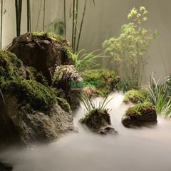 Bộ Tạo Sương Siêu Âm 5 Mắt 150W