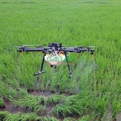 Béc Tưới Cây T16 Và T20 Phun Nước, Phun Thuốc Bảo Vệ Thực Vật