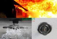 Đầu Phun Sprinkler Hướng Xuống DN15 1/2