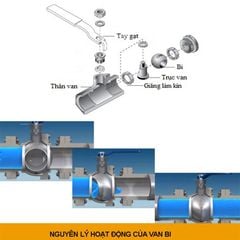 Van Bi Inox 1 Mảnh Ren Trong Đài Loan