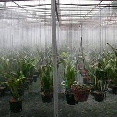 Đầu Béc Phun Sương Bằng Đồng Thau + Thép Không Gỉ Giảm Bụi, Làm Mát, Tưới Cây, Tưới Lan