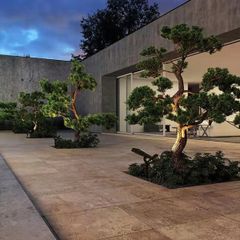 Đèn bãi cỏ năng lượng mặt trời chiếu sáng sân vườn, bãi cỏ, cây cảnh