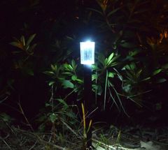 Đèn Led Cắm Cỏ Dạng Ống Năng Lượng Mặt Trời Liền Thể Bằng Nhựa Không Thấm Nước