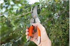 Bộ Dụng Cụ Làm Vườn 9 Món Chuyên Nghiệp, Bền, Đẹp