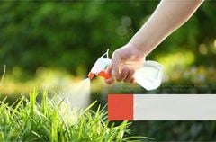 Bộ Dụng Cụ Làm Vườn 9 Món Chuyên Nghiệp, Bền, Đẹp