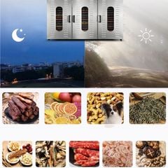 Máy Sấy Hoa Quả Lạnh 60 khay Inox 304