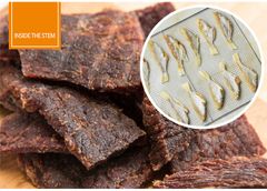 Máy Sấy Hoa Quả Mini 30 Khay Inox GND-2.4/30