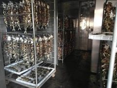 Máy Sấy Lạnh Trái Cây Công Nghiệp GND-300H