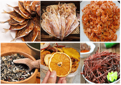 Máy Sấy Thực Phẩm Inox GND-100B - Máy Sấy Lạnh